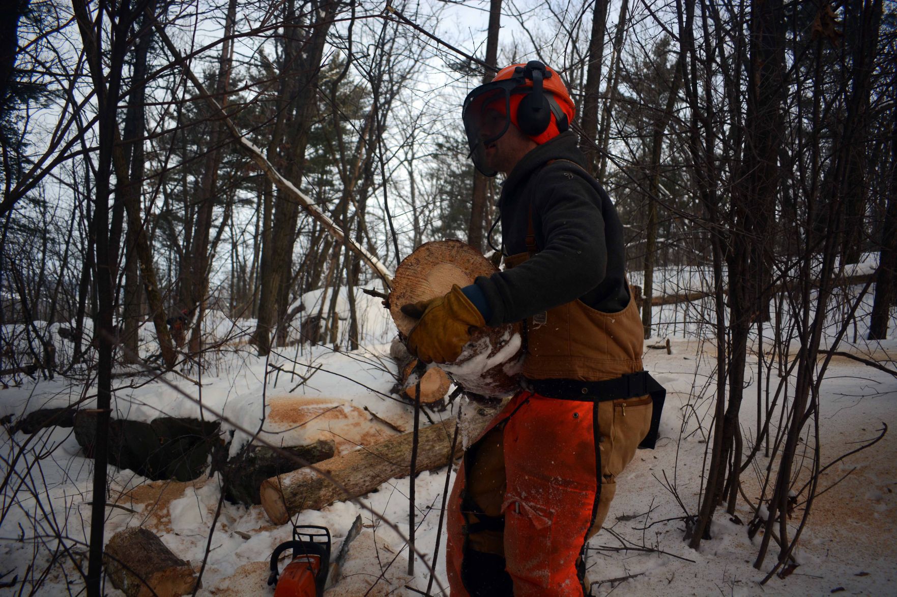 Devil's Lake east bluff stewardship work